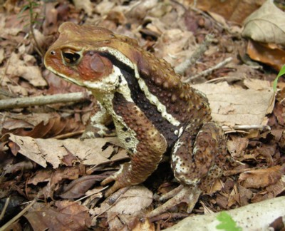 �A�Y�}�q�L�K�G��