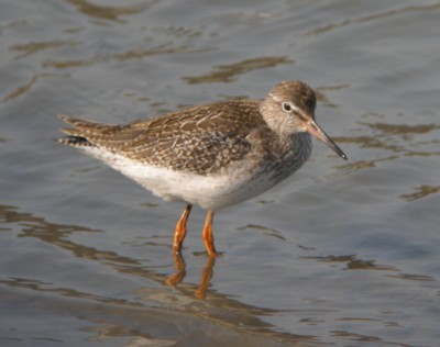 �A�J�A�V�V�M