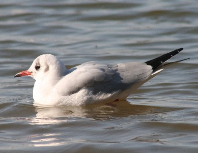 �����J����