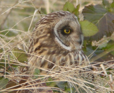 �R�~�~�Y�N