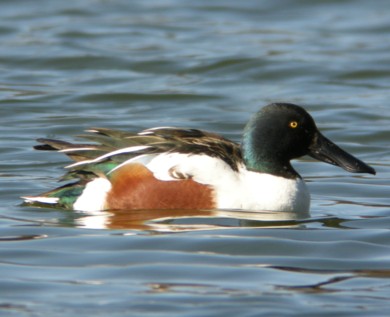 �n�V�r���K��