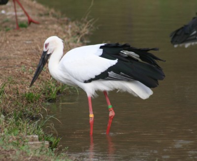 �R�E�m�g��