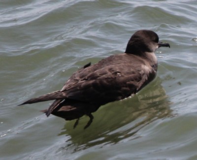 �n�V�{�\�~�Y�i�M�h��