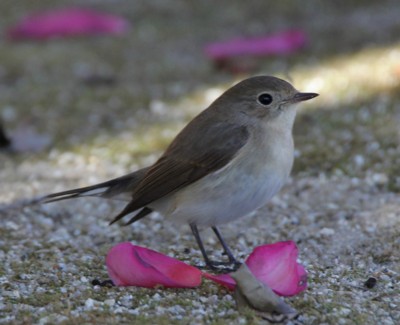 �j�V�I�W���r�^�L