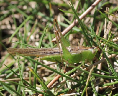 �z�V�T�T�L��