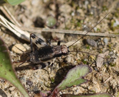 �}�_���X�Y