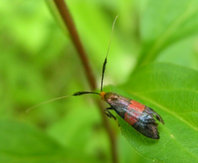 �x�j�I�r�q�Q�i�K