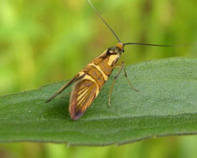 �z�\�t�^�I�r�q�Q�i�K