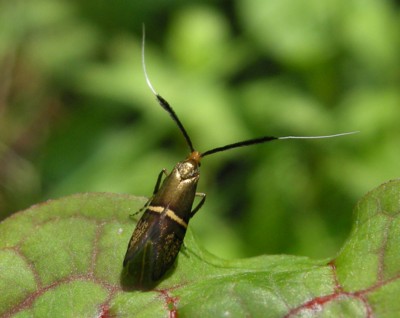 �z�\�I�r�q�Q�i�K