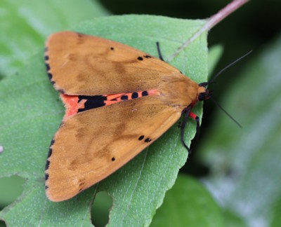 �x�j�V�^�q�g��