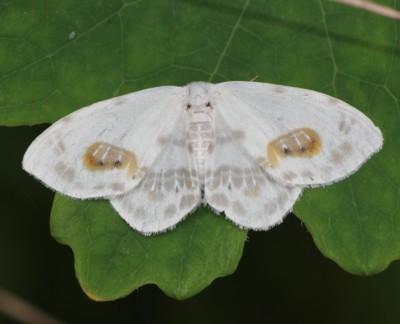 �q�g�c���J�M�o