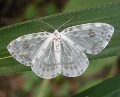 �z�V�x�b�R�E�J�M�o