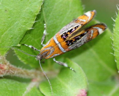 �N�������x�j�}���n�L�o�K