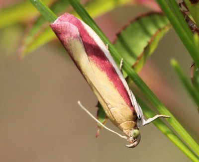 �A�J�}�_�����C�K