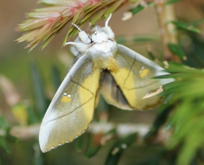 �A�I�Z�_�J�V���`�z�R