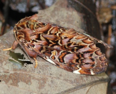 �n�K�^�G�O���V���`�z�R