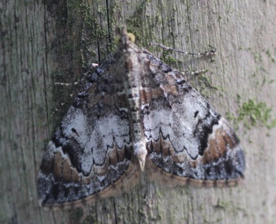 �}�G�L�i�J�W���i�~�V���N