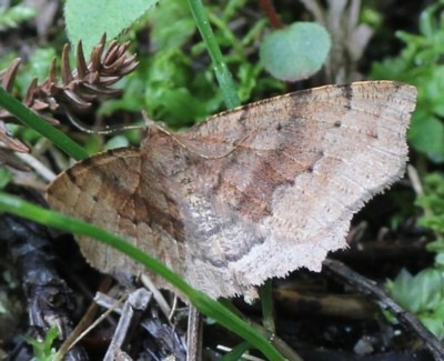 �~�X�W�c�}�L���G�_�V���N