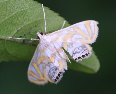 �L�I�r�~�Y���C�K