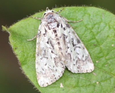 �S�}�P������