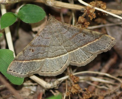 �~�X�W�A�c�o