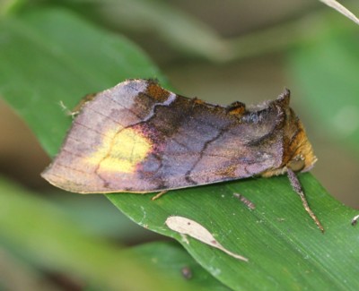 �����N�����I�I�L���E���o