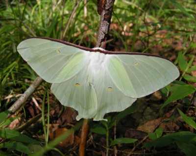 �I�I�~�Y�A�I