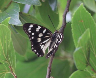 �S�}�_���`���E