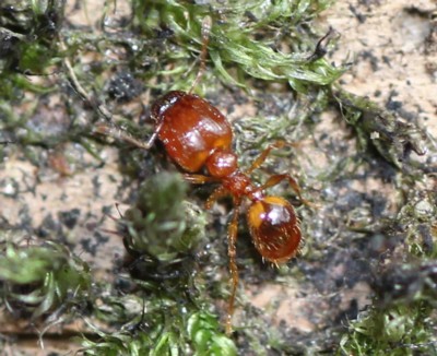 �A�Y�}�I�I�Y�A��