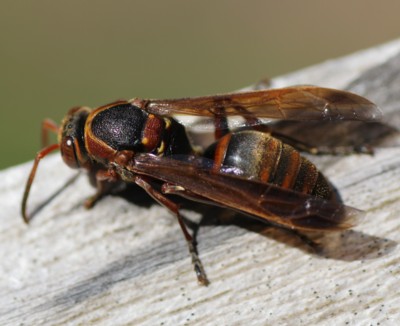 �����r���I