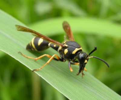 ���������I