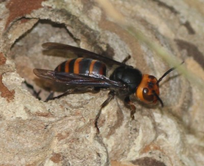 �R�K�^�X�Y���o�`