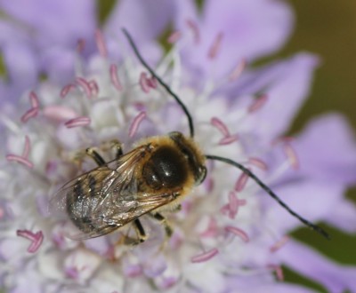 �j�b�|���q�Q�i�K�n�i�o�`