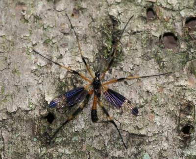 �x�b�R�E�K�K���{