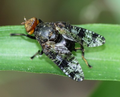 �n�}�_���q���N�`�o�G