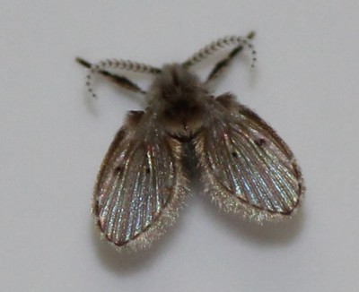 �I�I�`���E�o�G