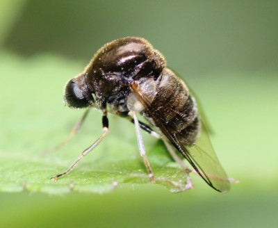 �Z�_�J�R�K�V���A�u