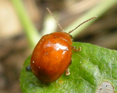 �I�I�L�C���}���m�~�n���V