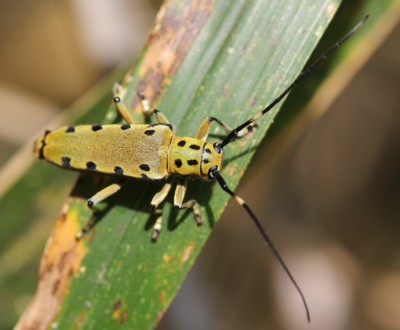 ���c���J�~�L��