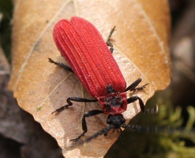 �q�V�x�j�{�^��