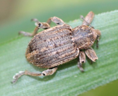 �I�I�^�R�]�E���V