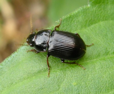 �R�}���K�^�S�~���V