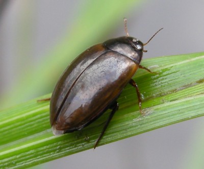 �}���Q���S���E