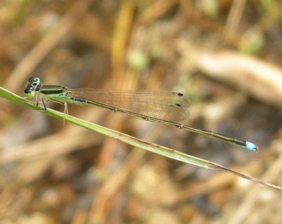 ���׈�����x