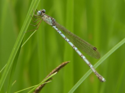 �אg�z�N��x