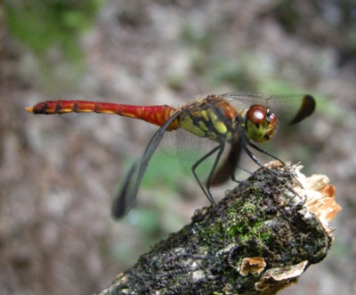 �����l����x