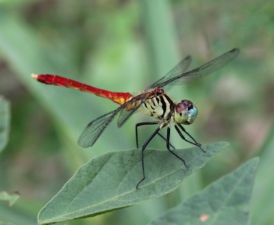 ���W����x