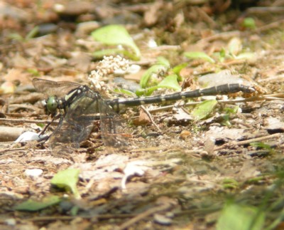 ���F���c��x