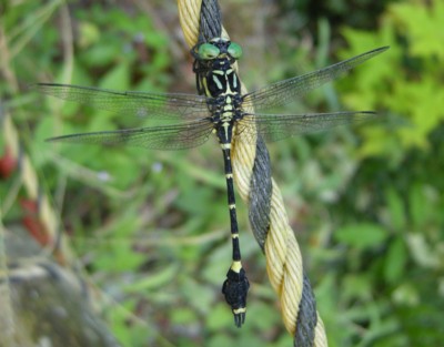 �������c��