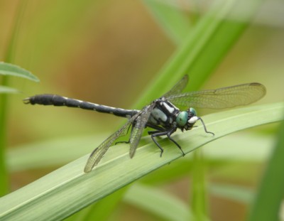 �^�x���c��x